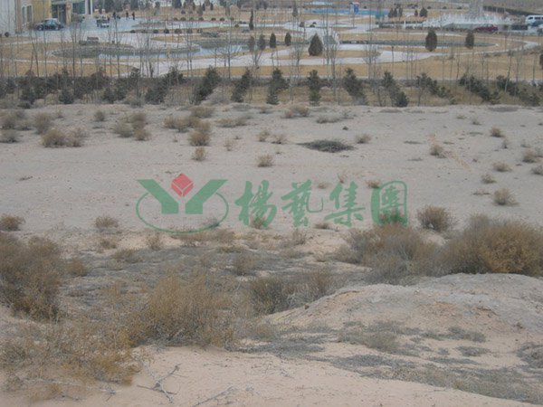 英国·威廉希尔(williamhill)唯一中文官方网站