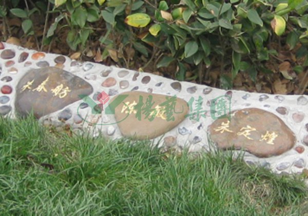 英国·威廉希尔(williamhill)唯一中文官方网站