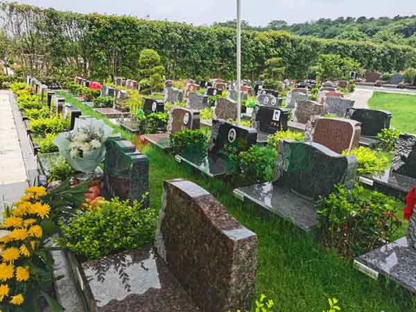 英国·威廉希尔(williamhill)唯一中文官方网站