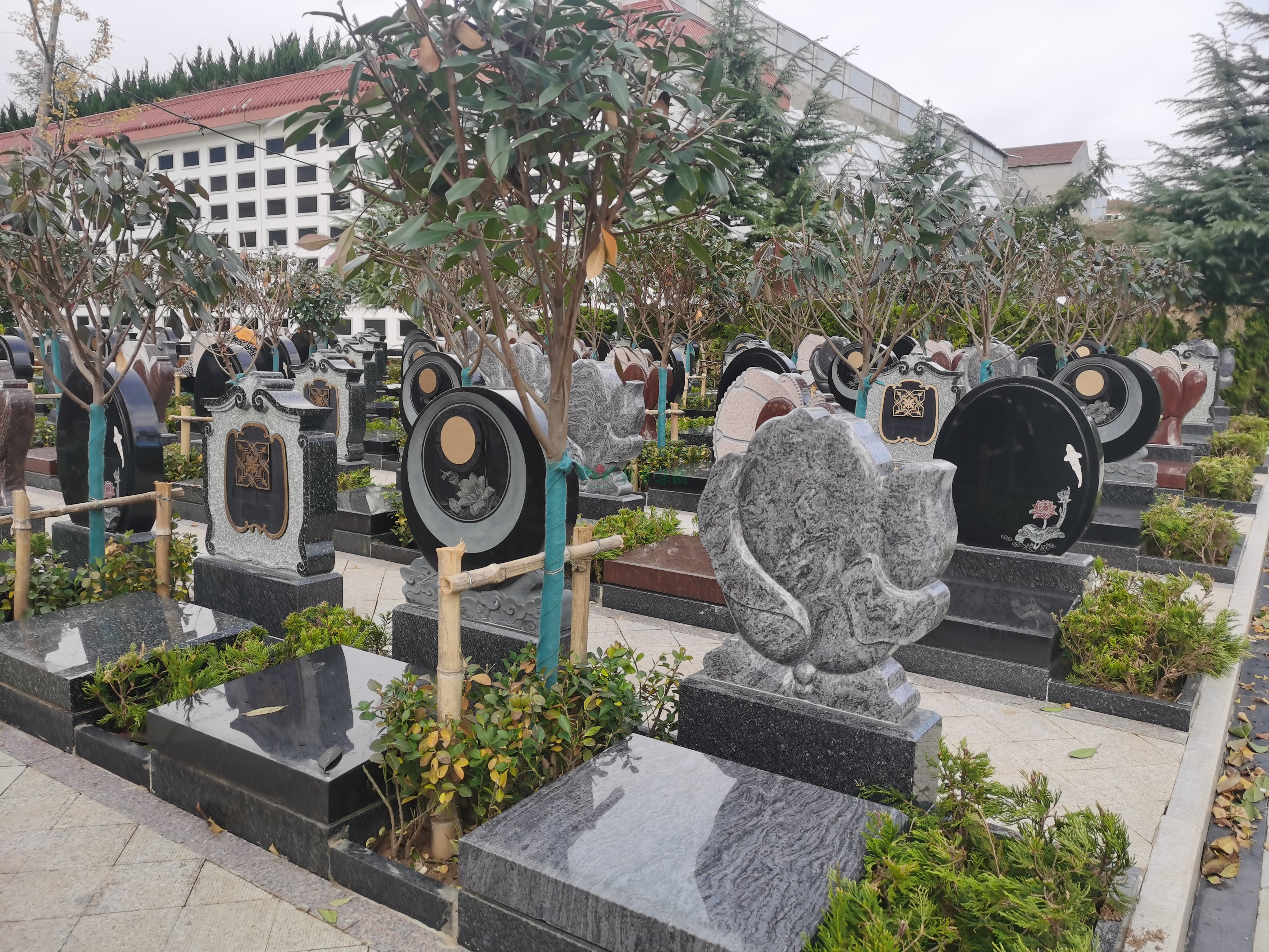 英国·威廉希尔(williamhill)唯一中文官方网站