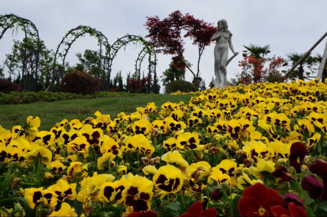 英国·威廉希尔(williamhill)唯一中文官方网站