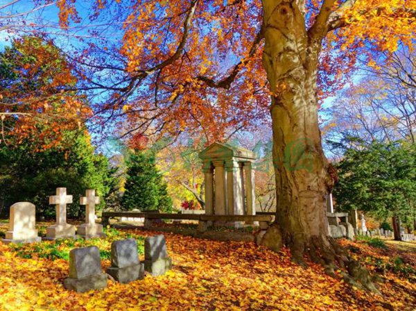 英国·威廉希尔(williamhill)唯一中文官方网站