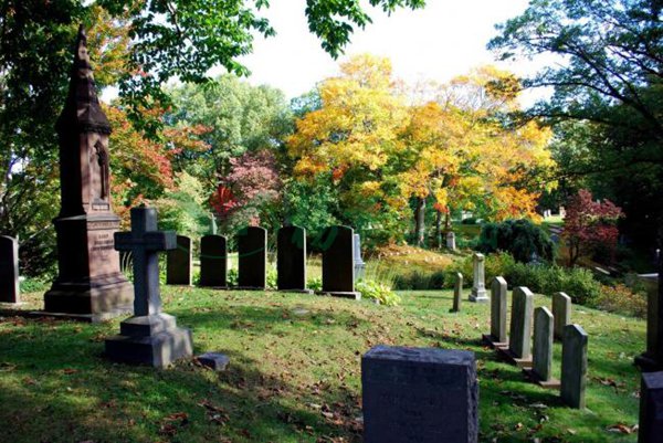 英国·威廉希尔(williamhill)唯一中文官方网站