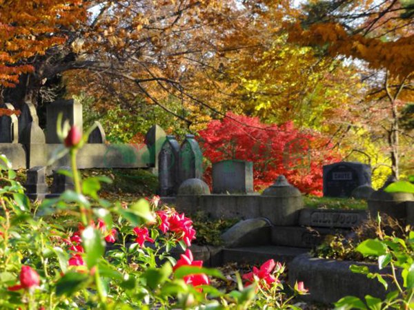 英国·威廉希尔(williamhill)唯一中文官方网站