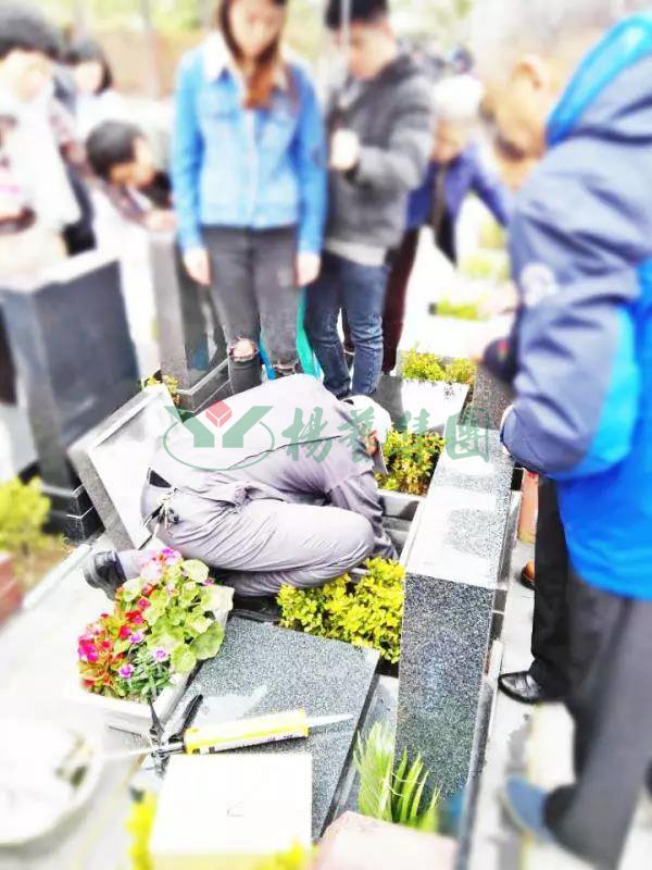 英国·威廉希尔(williamhill)唯一中文官方网站