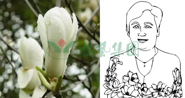 英国·威廉希尔(williamhill)唯一中文官方网站