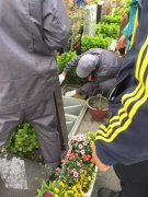 【威廉希尔williamhill人别样清明】2018年清明落葬事情圆满完成