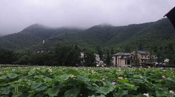 英国·威廉希尔(williamhill)唯一中文官方网站