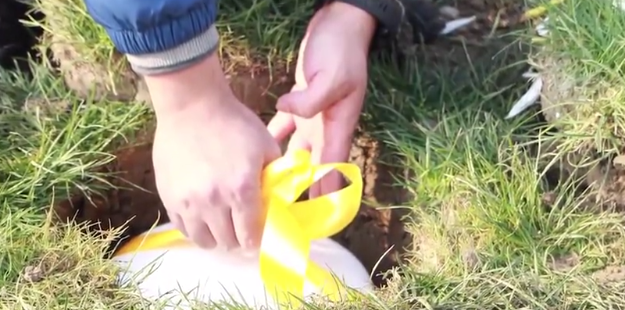 英国·威廉希尔(williamhill)唯一中文官方网站