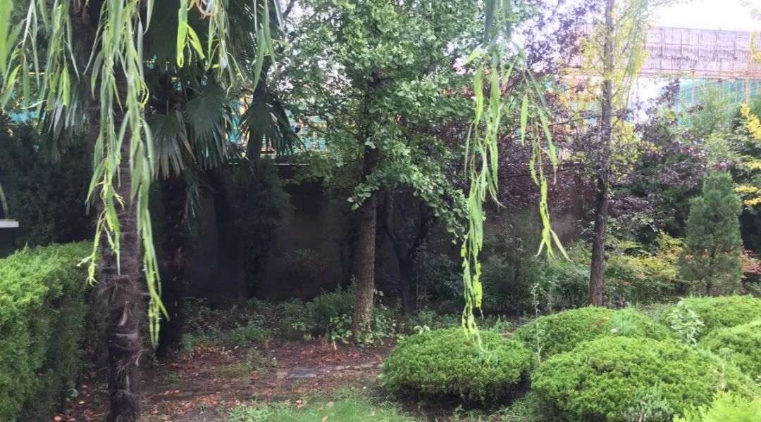 英国·威廉希尔(williamhill)唯一中文官方网站