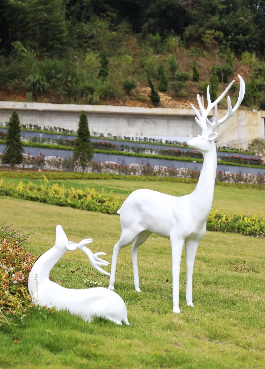 英国·威廉希尔(williamhill)唯一中文官方网站