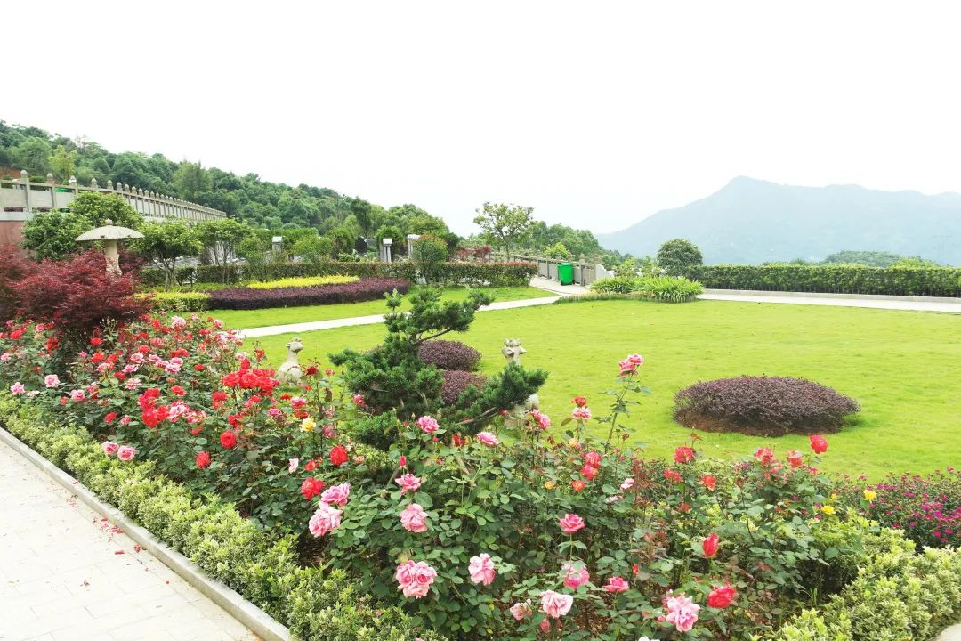 英国·威廉希尔(williamhill)唯一中文官方网站