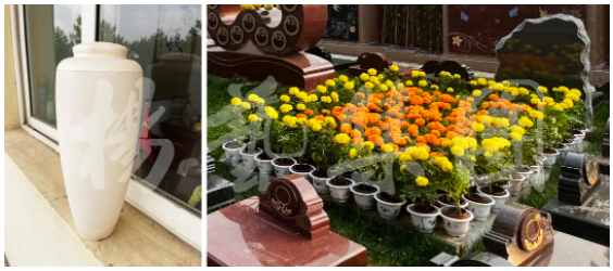 英国·威廉希尔(williamhill)唯一中文官方网站