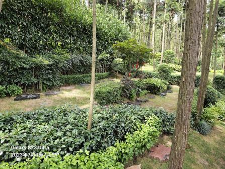 英国·威廉希尔(williamhill)唯一中文官方网站