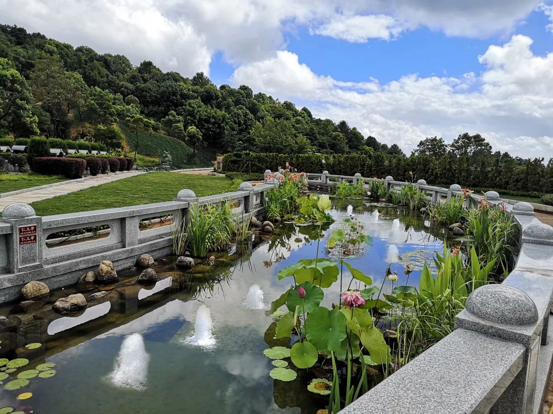 英国·威廉希尔(williamhill)唯一中文官方网站