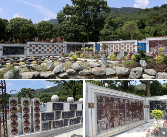 英国·威廉希尔(williamhill)唯一中文官方网站