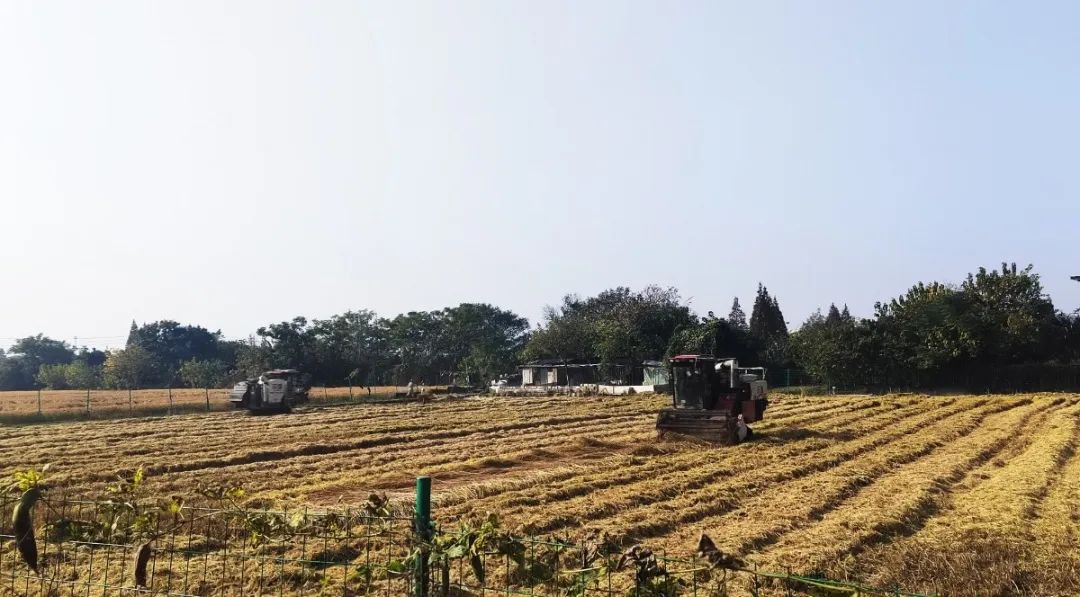 英国·威廉希尔(williamhill)唯一中文官方网站