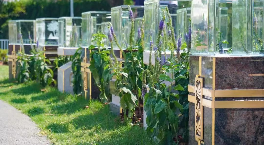 英国·威廉希尔(williamhill)唯一中文官方网站