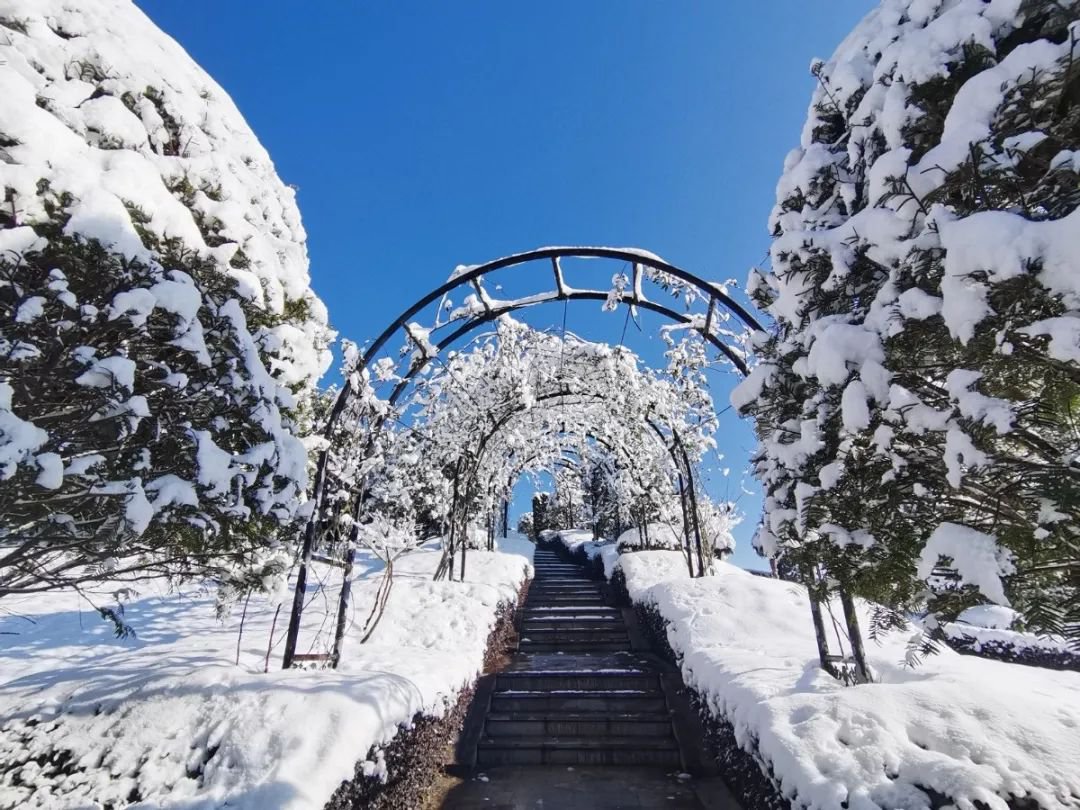 雪落玉龙，，，三冬含暖！！