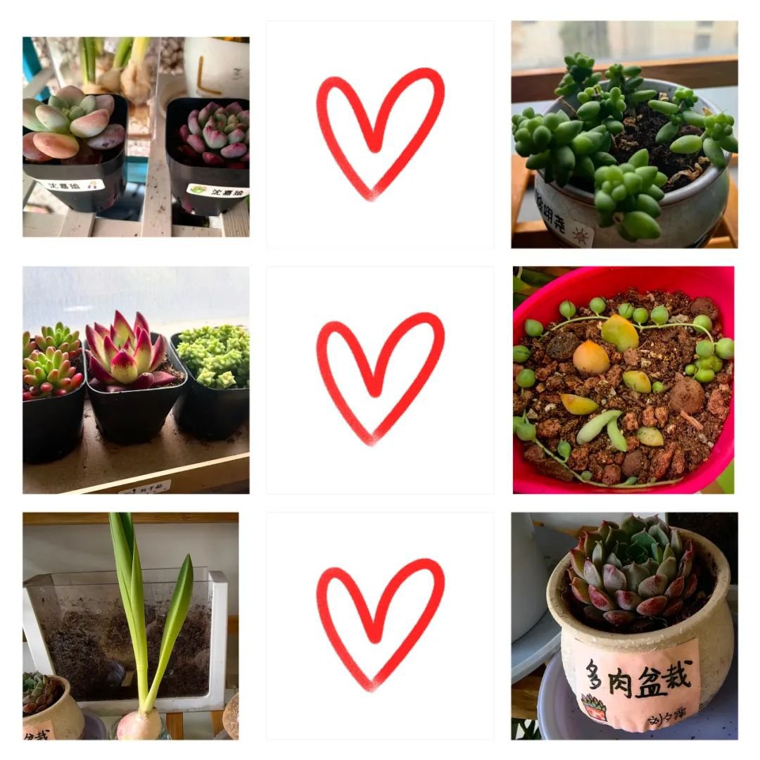 英国·威廉希尔(williamhill)唯一中文官方网站