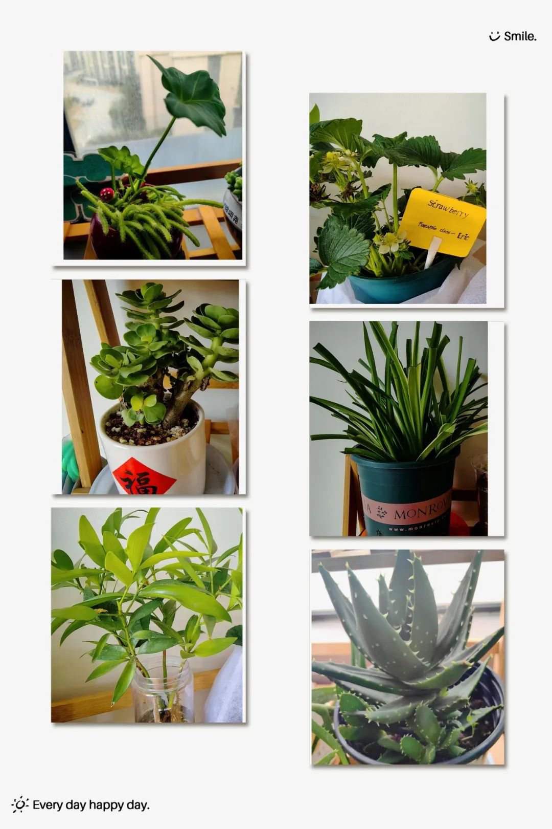 英国·威廉希尔(williamhill)唯一中文官方网站