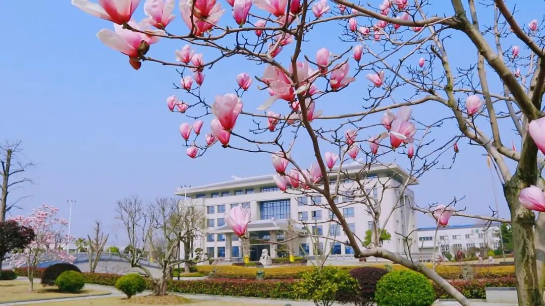 英国·威廉希尔(williamhill)唯一中文官方网站