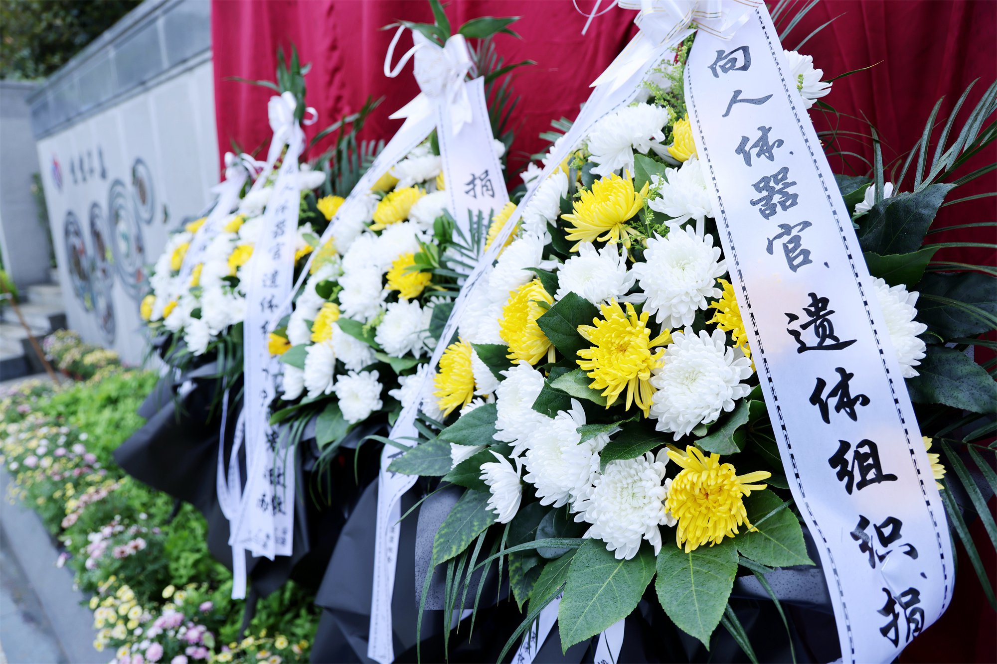 英国·威廉希尔(williamhill)唯一中文官方网站