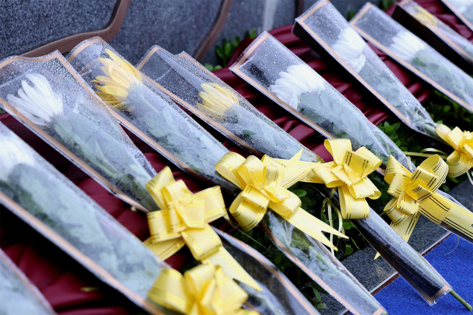 英国·威廉希尔(williamhill)唯一中文官方网站