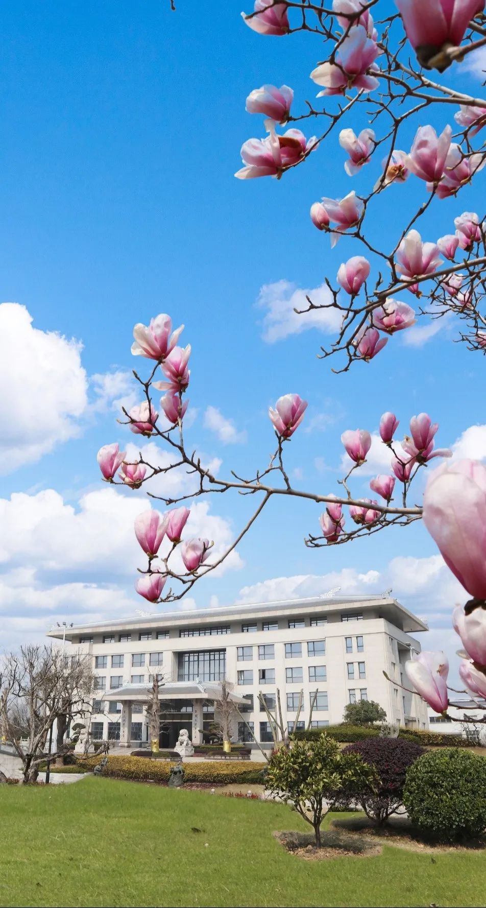 英国·威廉希尔(williamhill)唯一中文官方网站