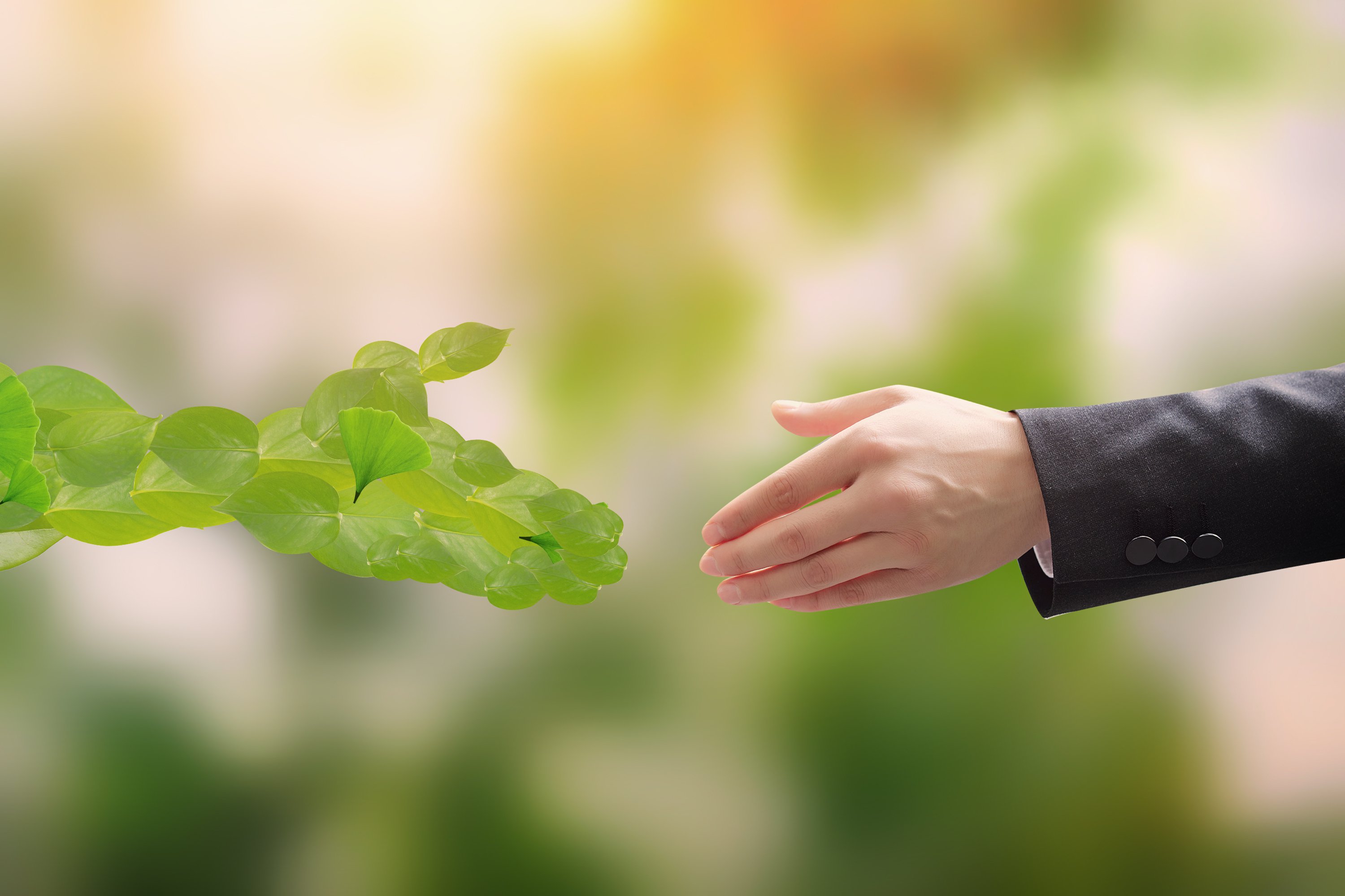 英国·威廉希尔(williamhill)唯一中文官方网站