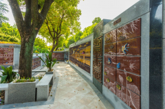 绿色殡葬新民俗：：探索葬式多样化的立异之路