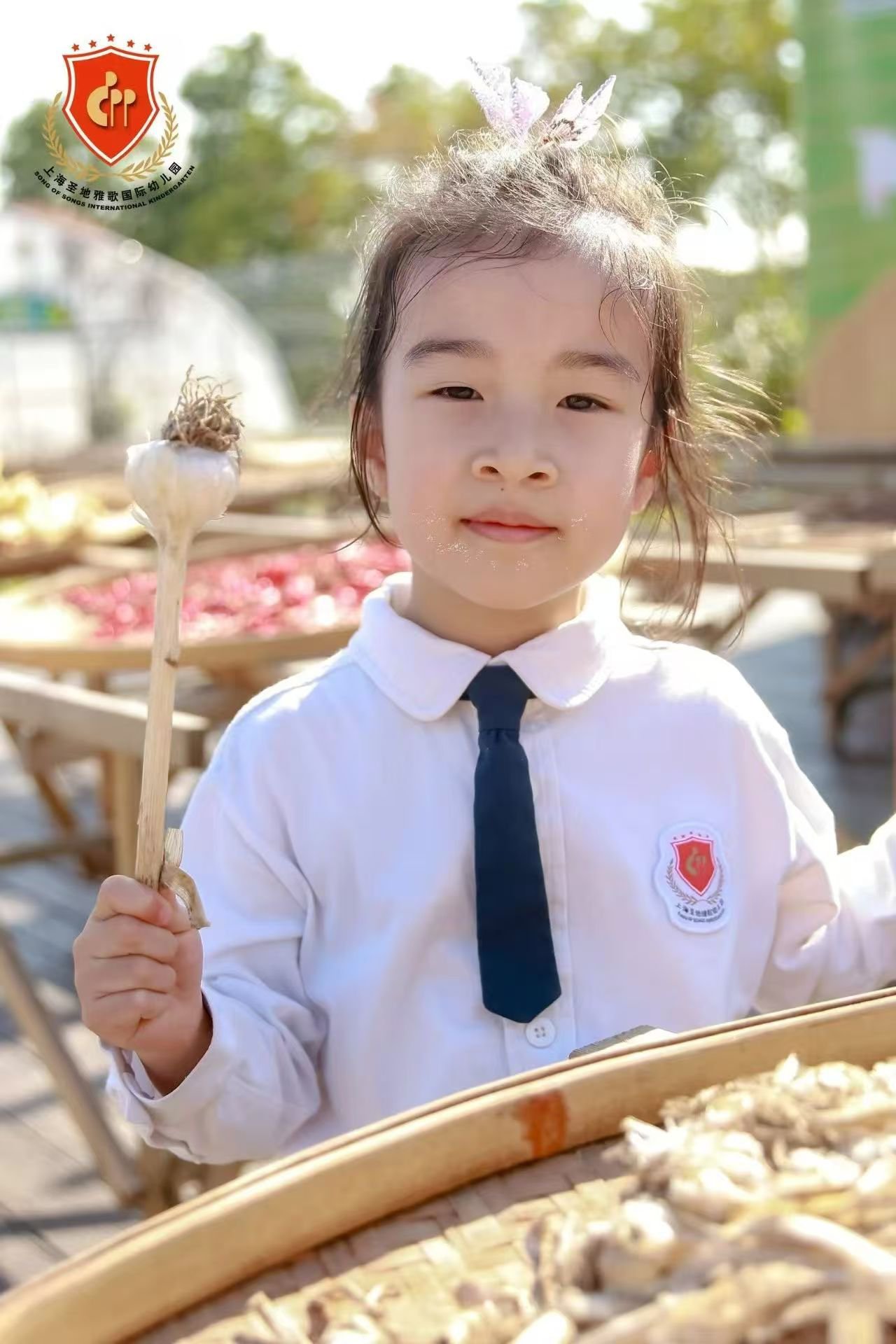 英国·威廉希尔(williamhill)唯一中文官方网站