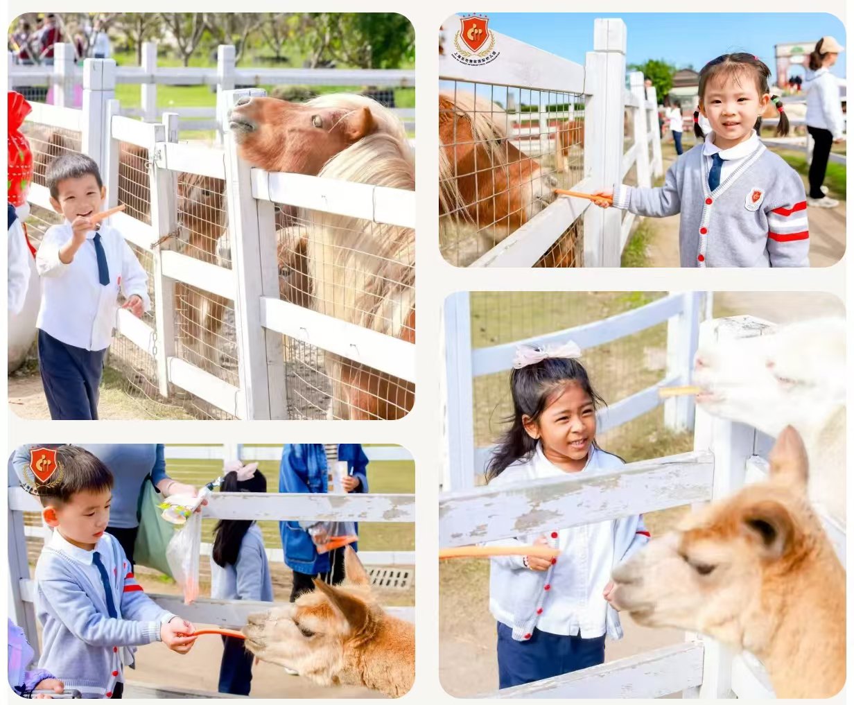 英国·威廉希尔(williamhill)唯一中文官方网站