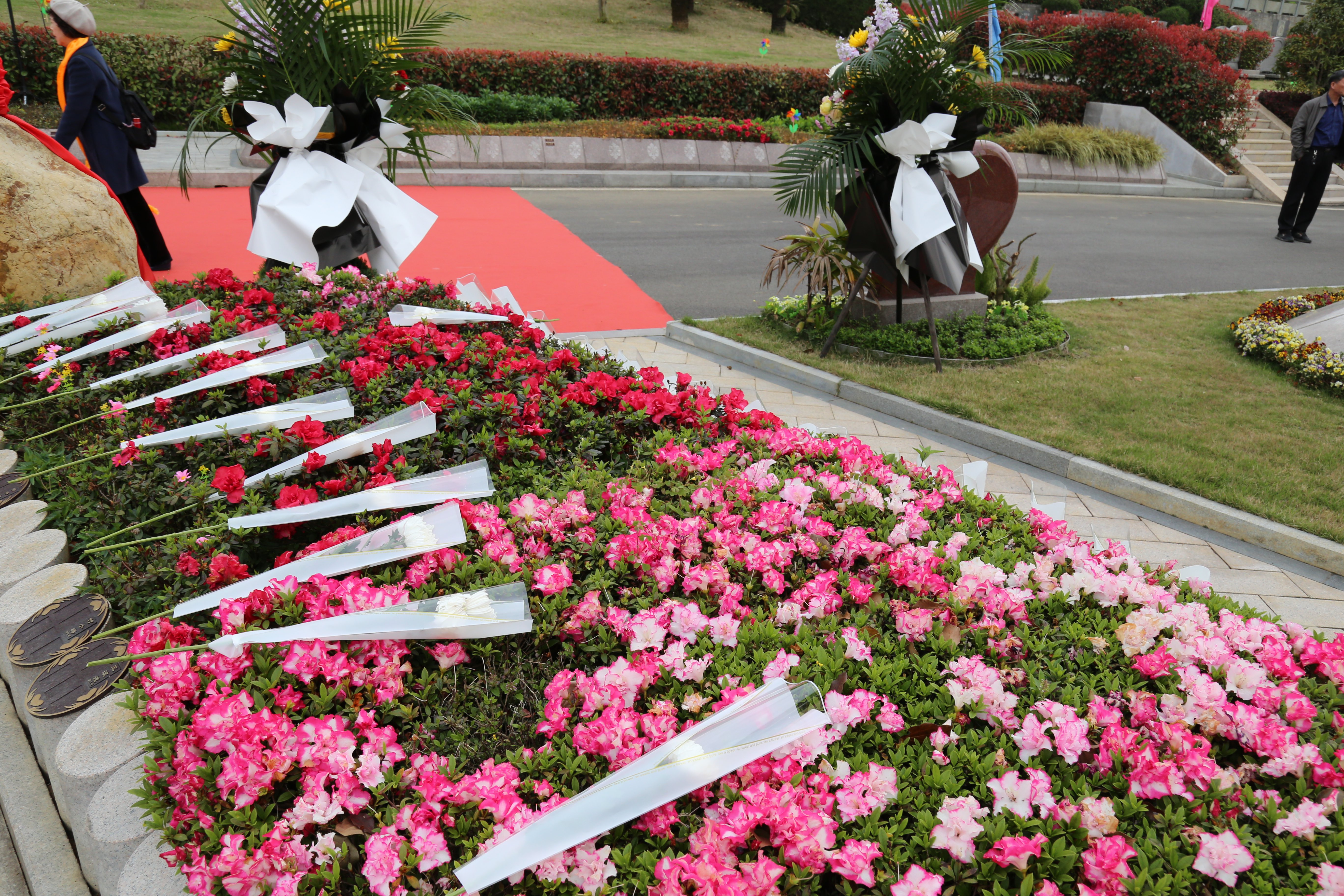 英国·威廉希尔(williamhill)唯一中文官方网站