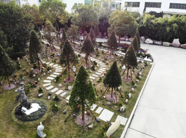 威廉希尔williamhill起劲探索绿色生态殡葬, 林地葬受关注