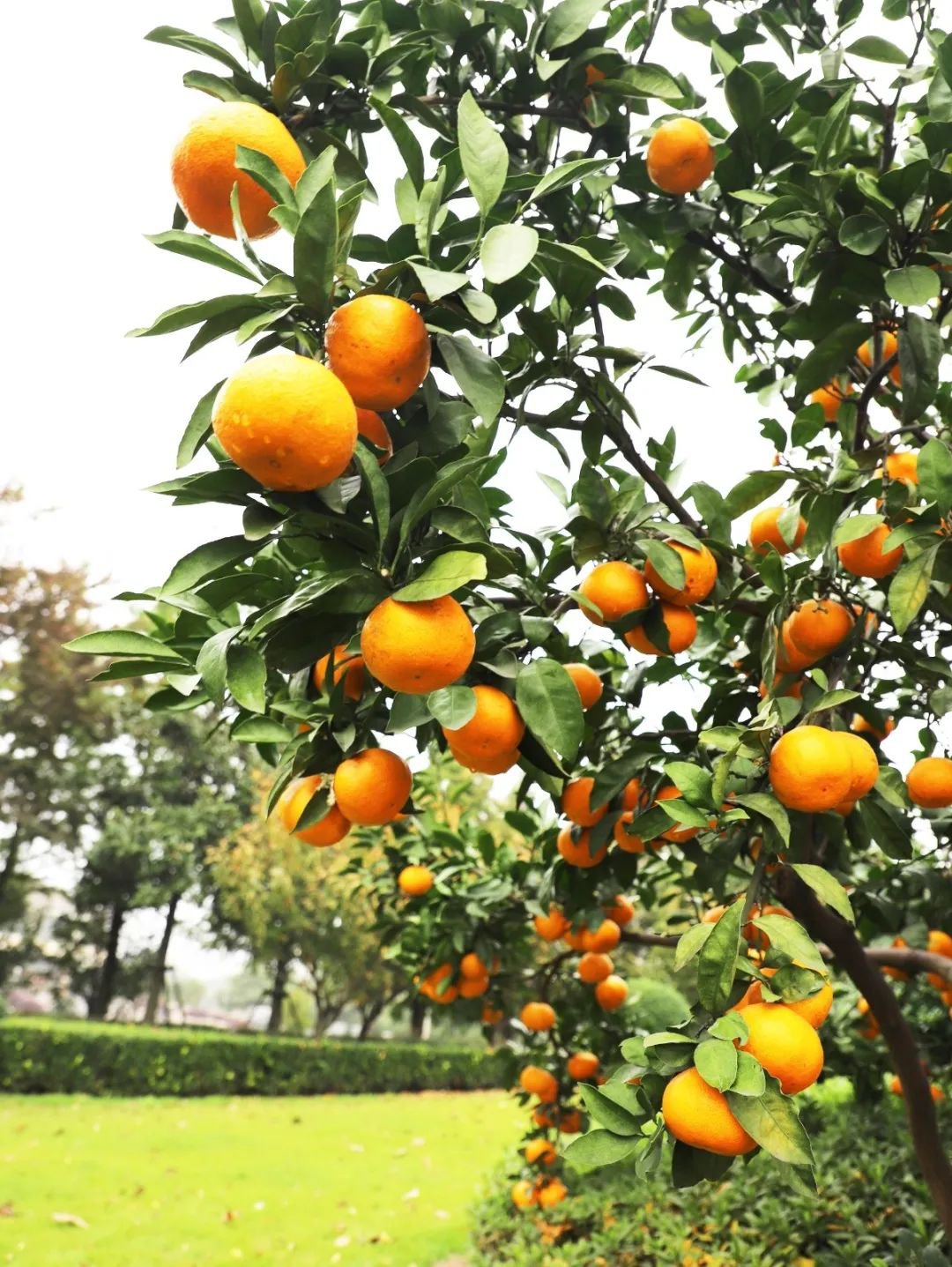 英国·威廉希尔(williamhill)唯一中文官方网站