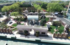 方寸之间，艺术与自然共舞