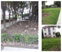 老墓园刷新：：：都会中的绿色影象与文化传承