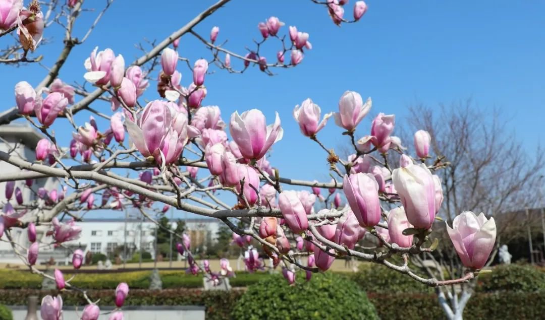 英国·威廉希尔(williamhill)唯一中文官方网站