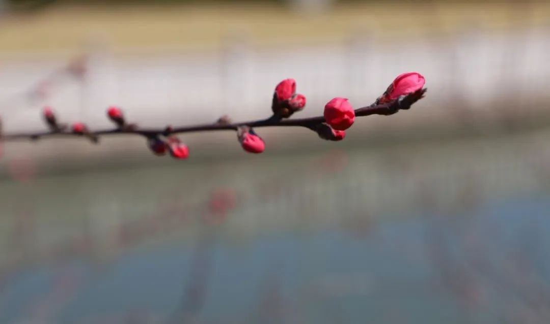 英国·威廉希尔(williamhill)唯一中文官方网站