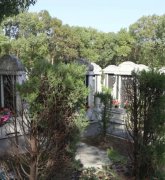 绿色生态葬：：：文明赓续的绿色选择