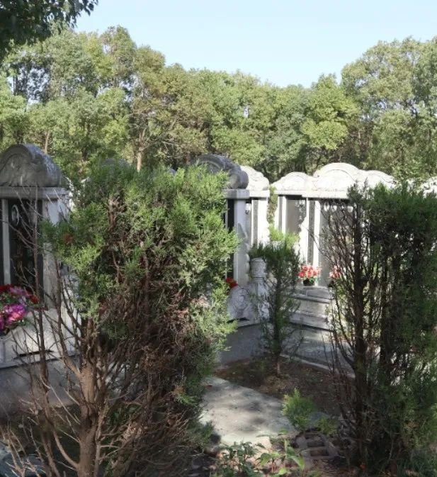 英国·威廉希尔(williamhill)唯一中文官方网站