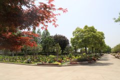 归于林下：：一场与自然的温柔重逢