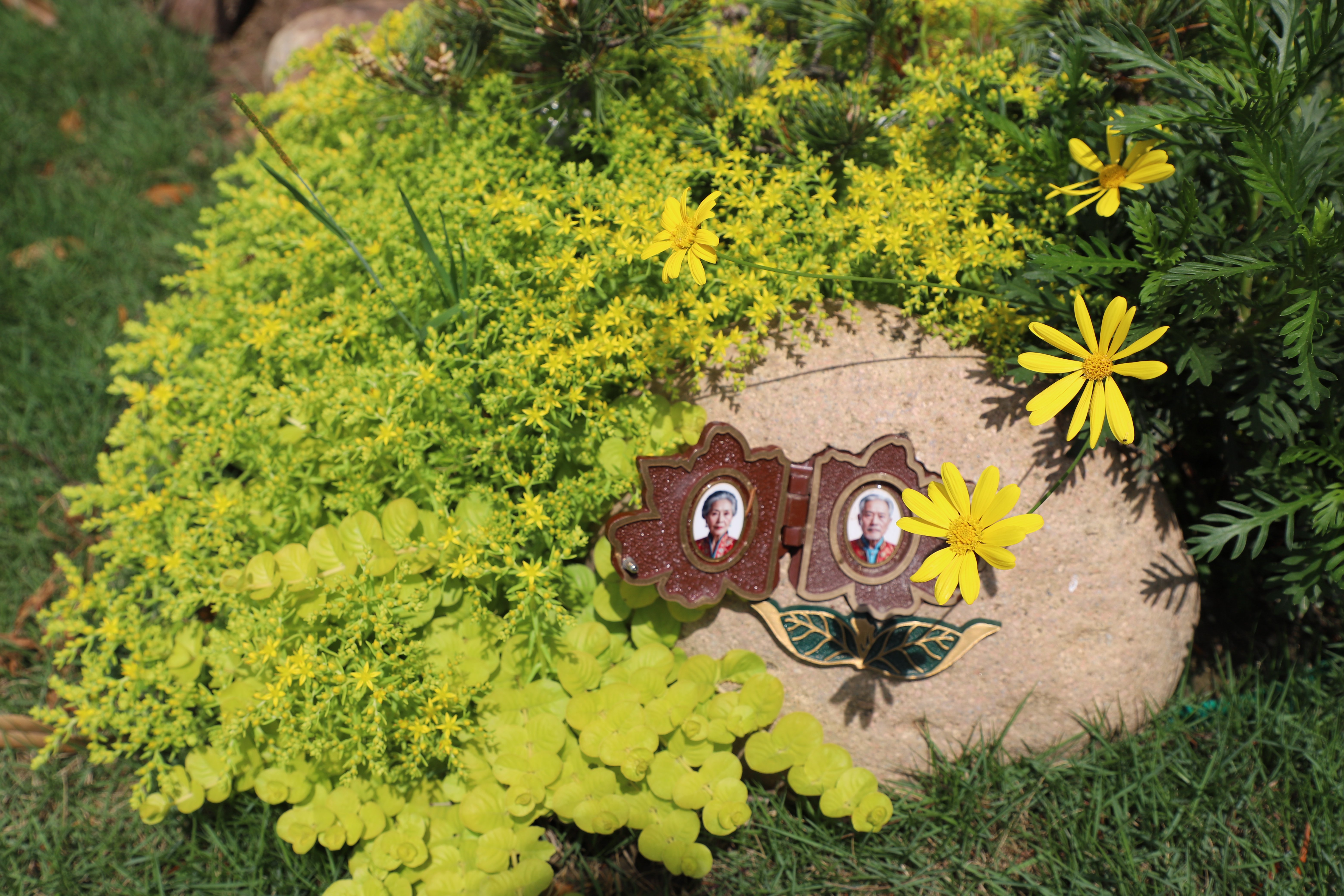 英国·威廉希尔(williamhill)唯一中文官方网站