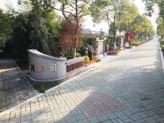 都会最后一平米：：：生态葬，，，是与自然的息争？？照旧无奈的选择？？