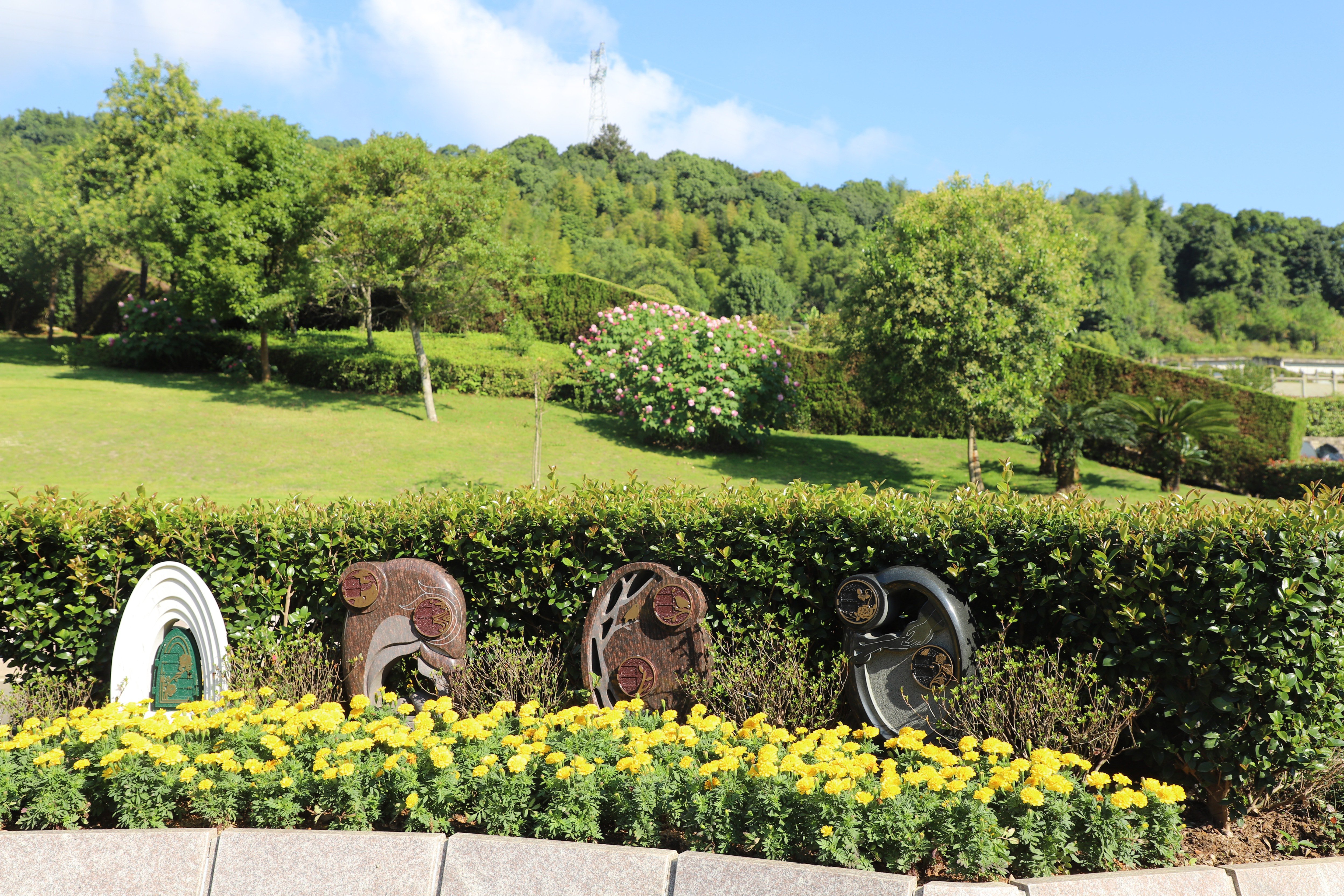 英国·威廉希尔(williamhill)唯一中文官方网站