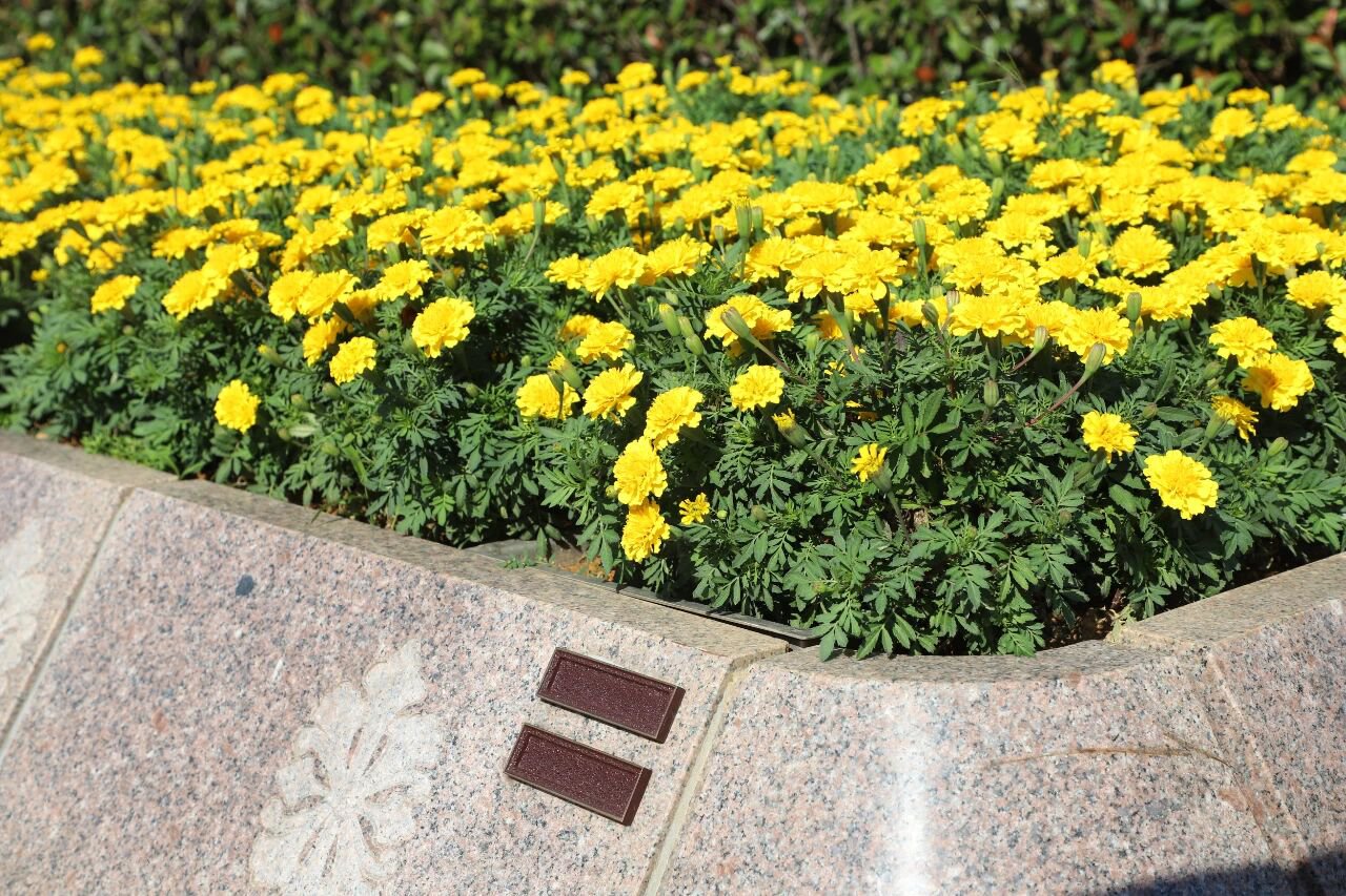 英国·威廉希尔(williamhill)唯一中文官方网站