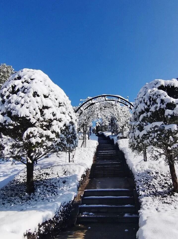 英国·威廉希尔(williamhill)唯一中文官方网站