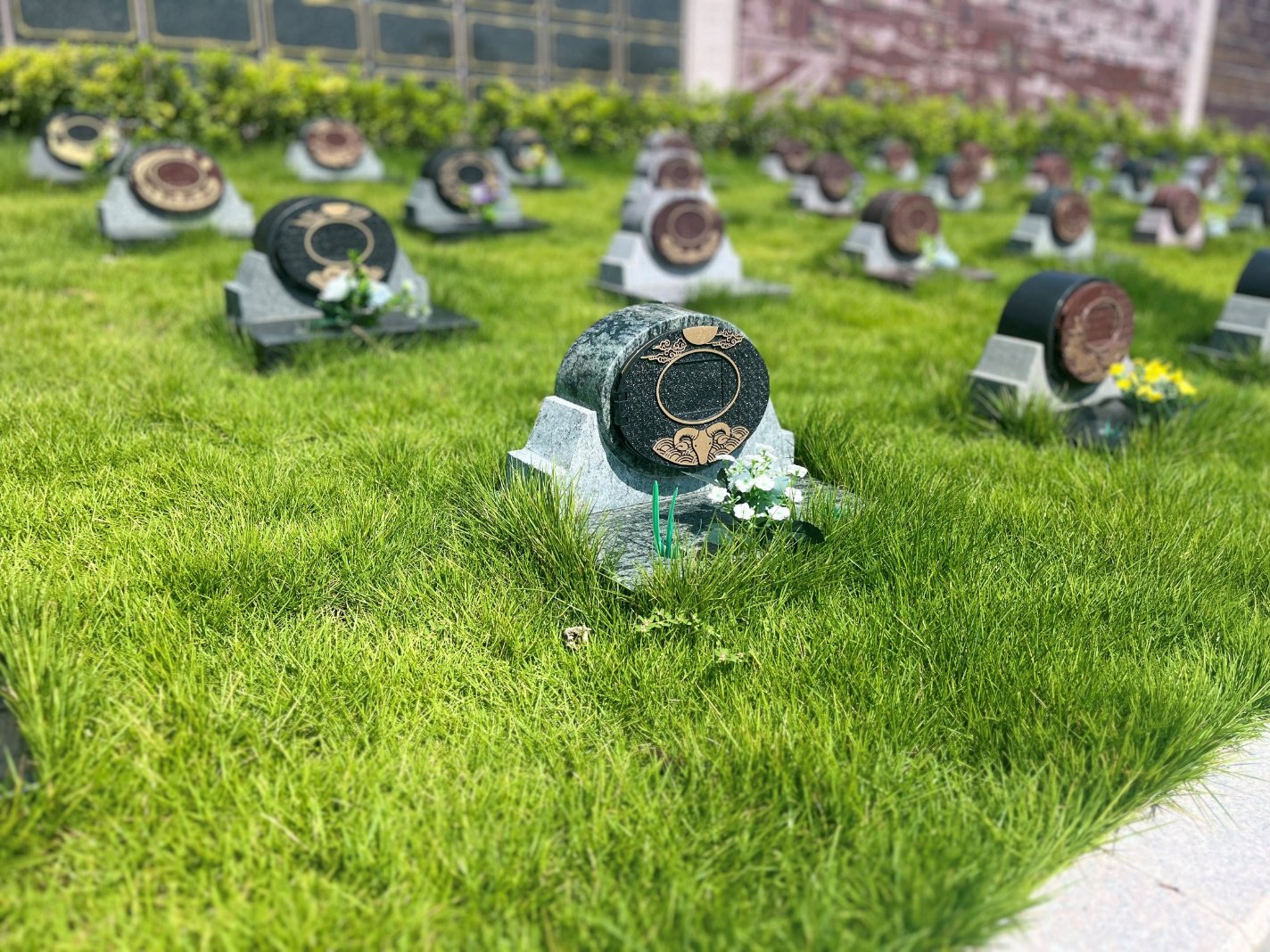 英国·威廉希尔(williamhill)唯一中文官方网站